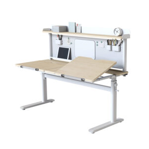 Multifunctional Reading Desk